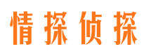 华龙市调查公司